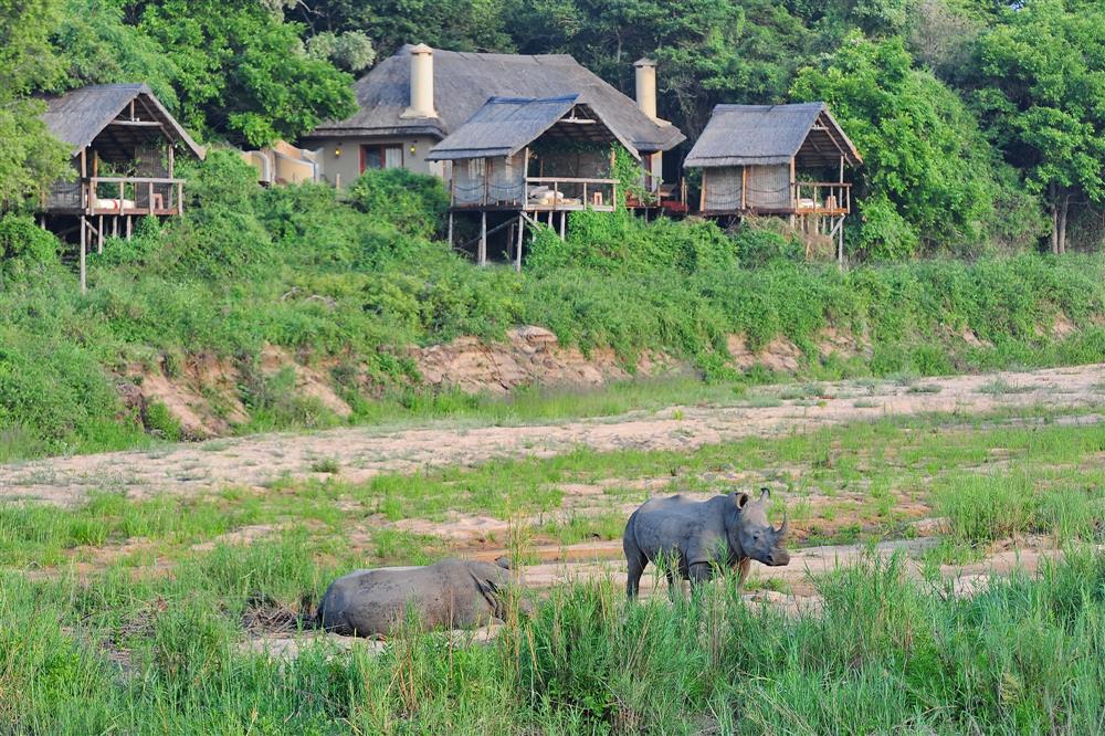 Jock Safari Lodge